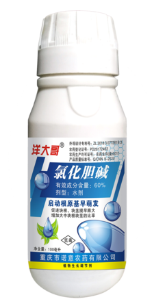 洋大哥60%氯化膽堿（100ml）.png